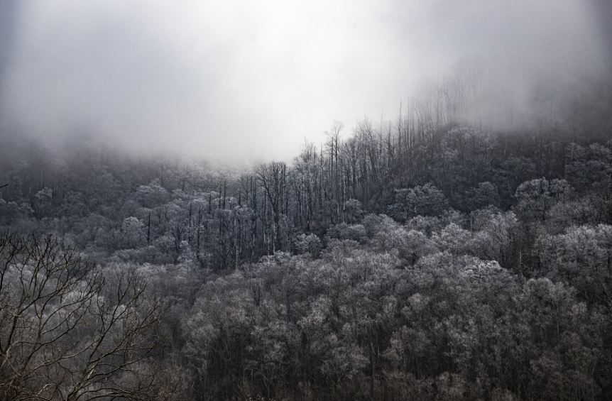Great Smoky Mountains National Park