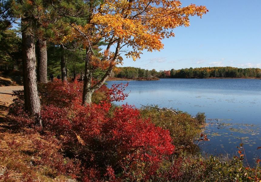 a landscape shot of Acadia national park