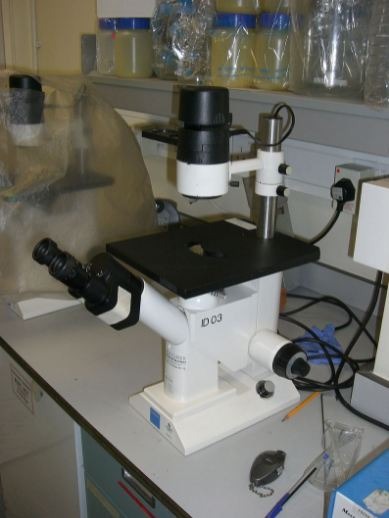 Inverted Microscope