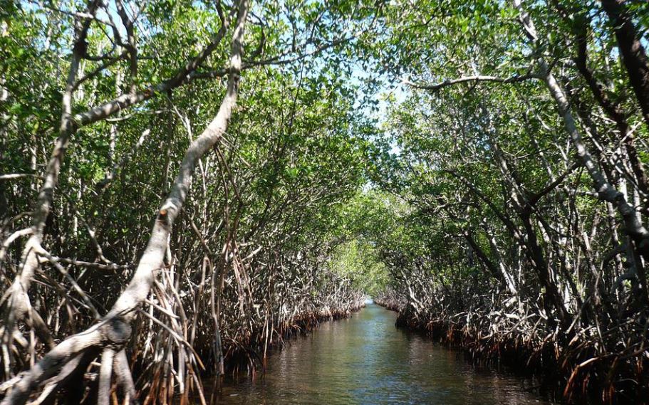 Everglades National Park