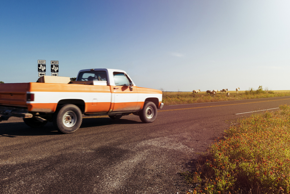 Old pickup truck riding along a farm road with a ranch and horses on the background at sunset in rural Texas, USA