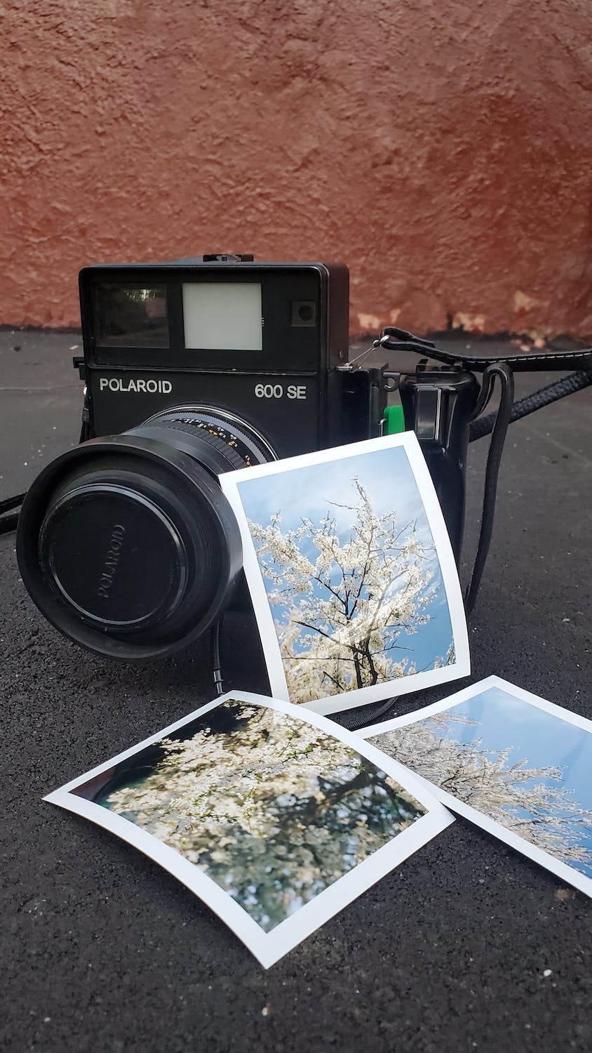polaroid camera with photos